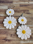 Daisies - two